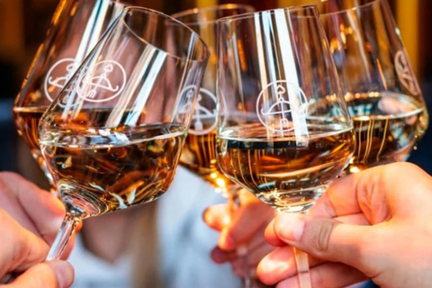 Eindhoven: Wine tour with drinks & games