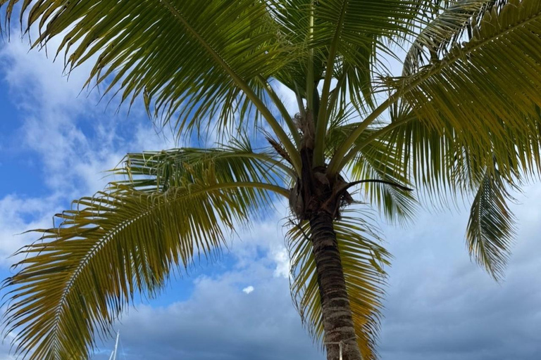 San Blas: La Casa de Papel Island Snorkeling, Paddle & Lunch
