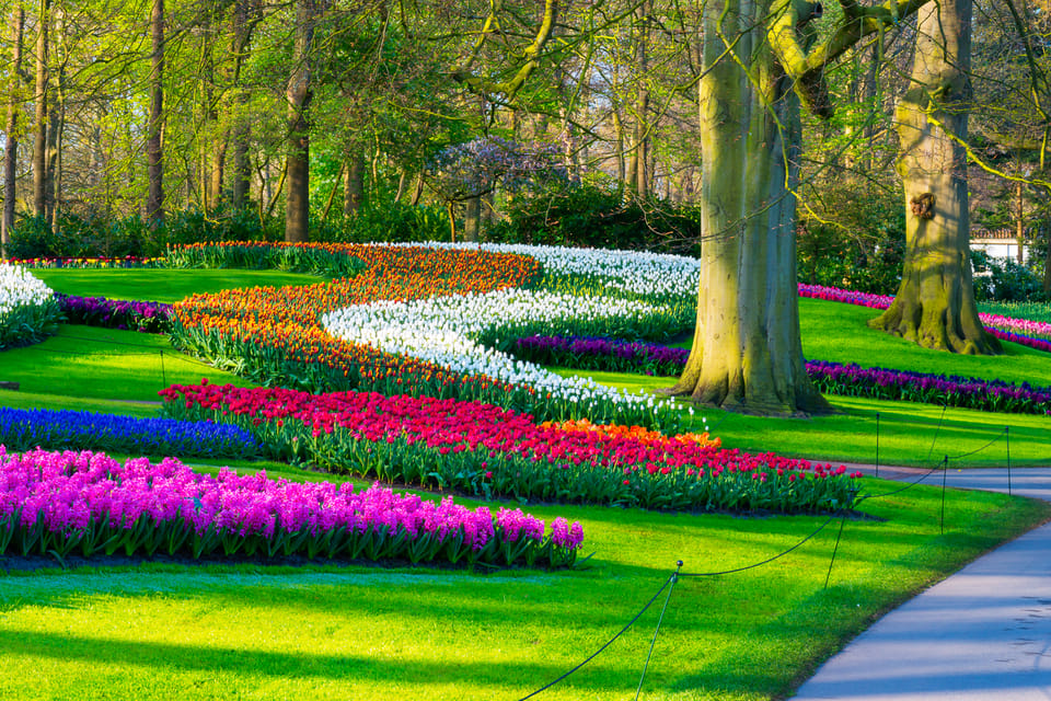 From Amsterdam Keukenhof Flower Park Transfer & Ticket 2025 GetYourGuide