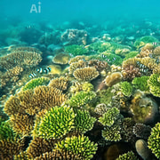 Ekas Bay Snorkeling Adventure: Hidden Reefs & Crystal Waters