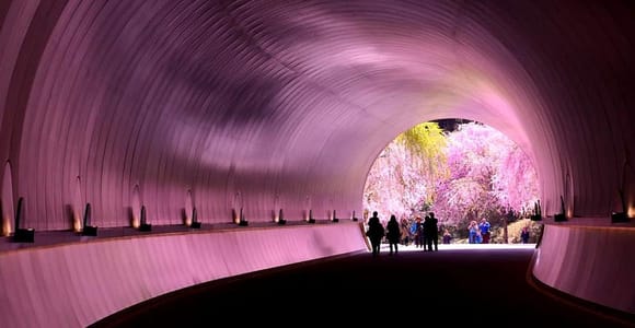 From Kyoto/Osaka: MIHO Museum & Shigaraki Pottery Day Trip