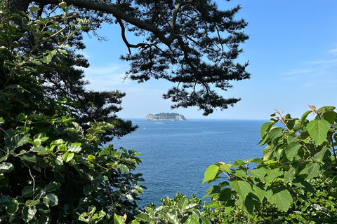 Jeju Süd: Heilende UNESCO Kleingruppentour Tagestour