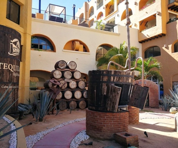 Tour della città a Cabo San Lucas e barca trasparente all'Arco