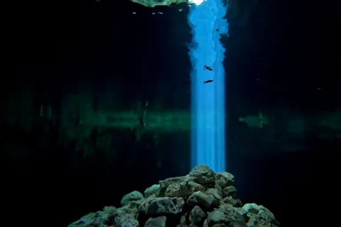 Two tank cavern dive (Cenote Dive)