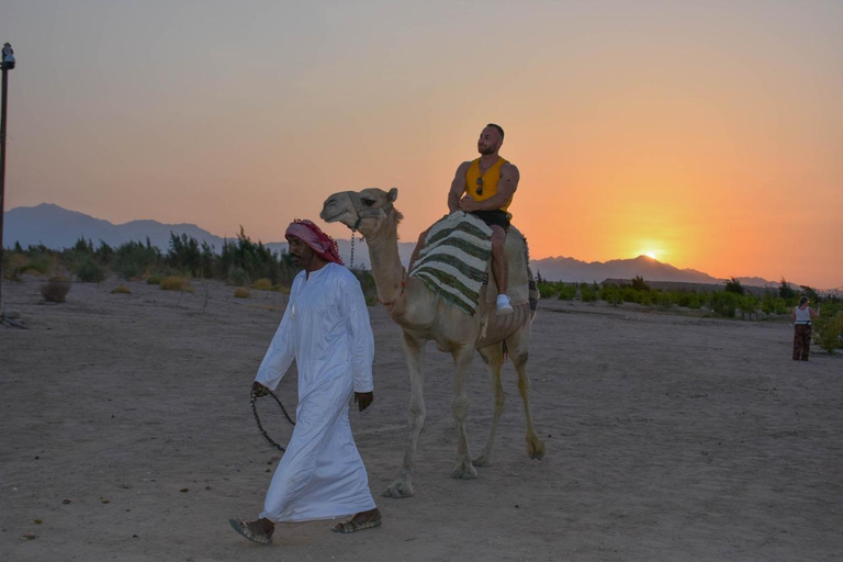 Hurghada: Camel Ride & horse ride and Off-Road Jeep Tour pickup from hotels inside hurghada