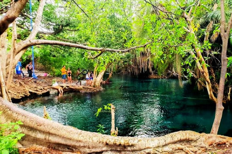 Excursión de un día asequible a las Termas de Chemka desde Moshi