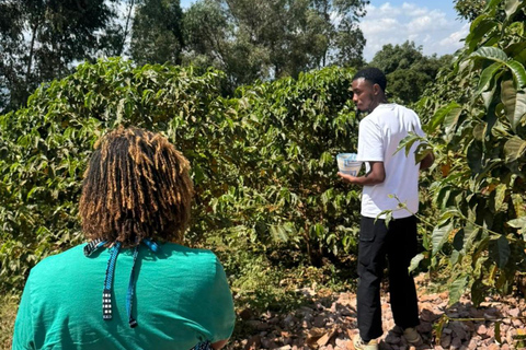 Kigali: Coffee Tour with Hotel Pickup and Tasting