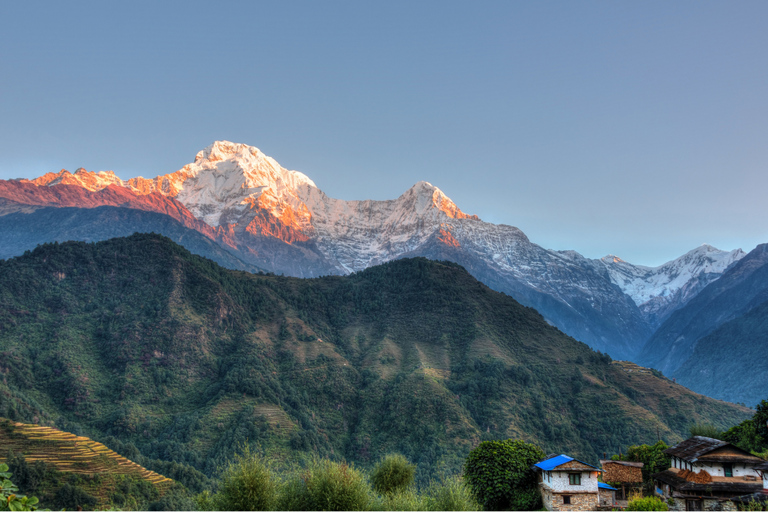 Ghorepani - Poon Hill Golden Horizon Trek from Kathmandu Customize Package