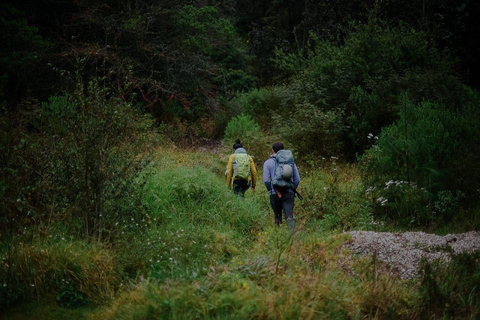 San Cristóbal de las Casas: Guided Rock Climbing Day Trip