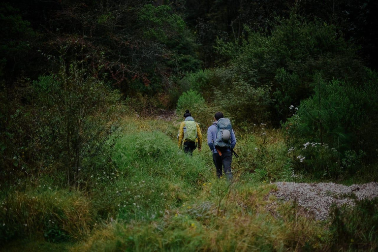 San Cristóbal de las Casas: Guided Rock Climbing Day Trip