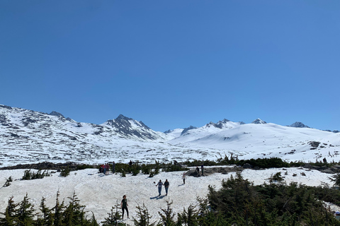 Wycieczka po mieście i górach Skagway