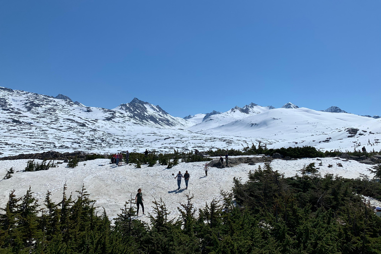 Wycieczka po mieście i górach Skagway