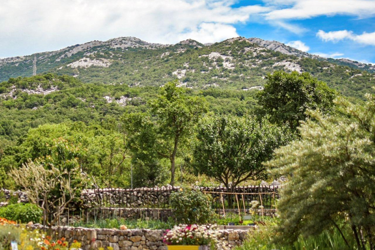 Split: City Sightseeing Hop-On Hop-Off Bus Tour & Extras 24-Hour Ticket