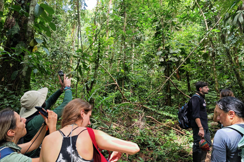 Manu: 2-daagse tour met gids door het regenwoud