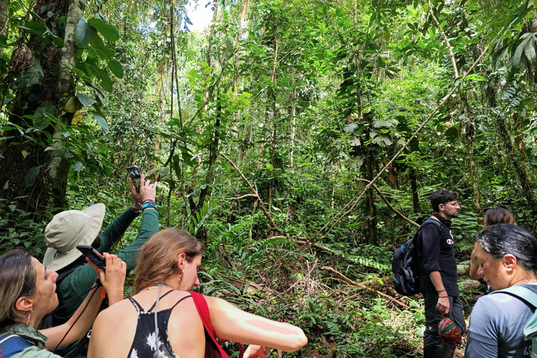 Manu: 2-daagse tour met gids door het regenwoud