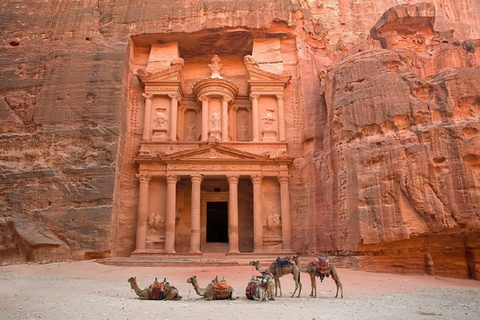 Excursión de un día a Ammán - Petra - Wadi Rum