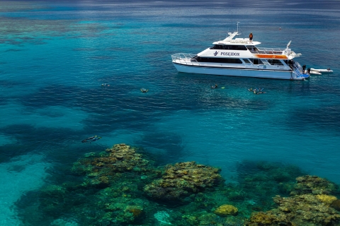 Port Douglas : Poseidon Outer Barrier Reef Dive & Snorkel (plongée et masque et tuba)Plongée certifiée Poséidon 1