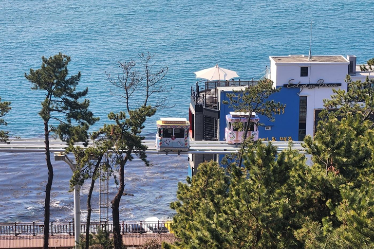 Tour privato di BusanGuida turistica parlante cinese