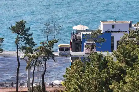 Tour particular em Busan + café para gatos