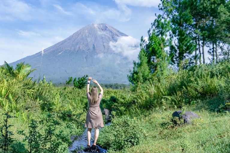 Mount Semeru Jeep Lava Tour from Surabaya/Malang/Pronojiwo Mount Semeru Jeep Lava Tour from Malang