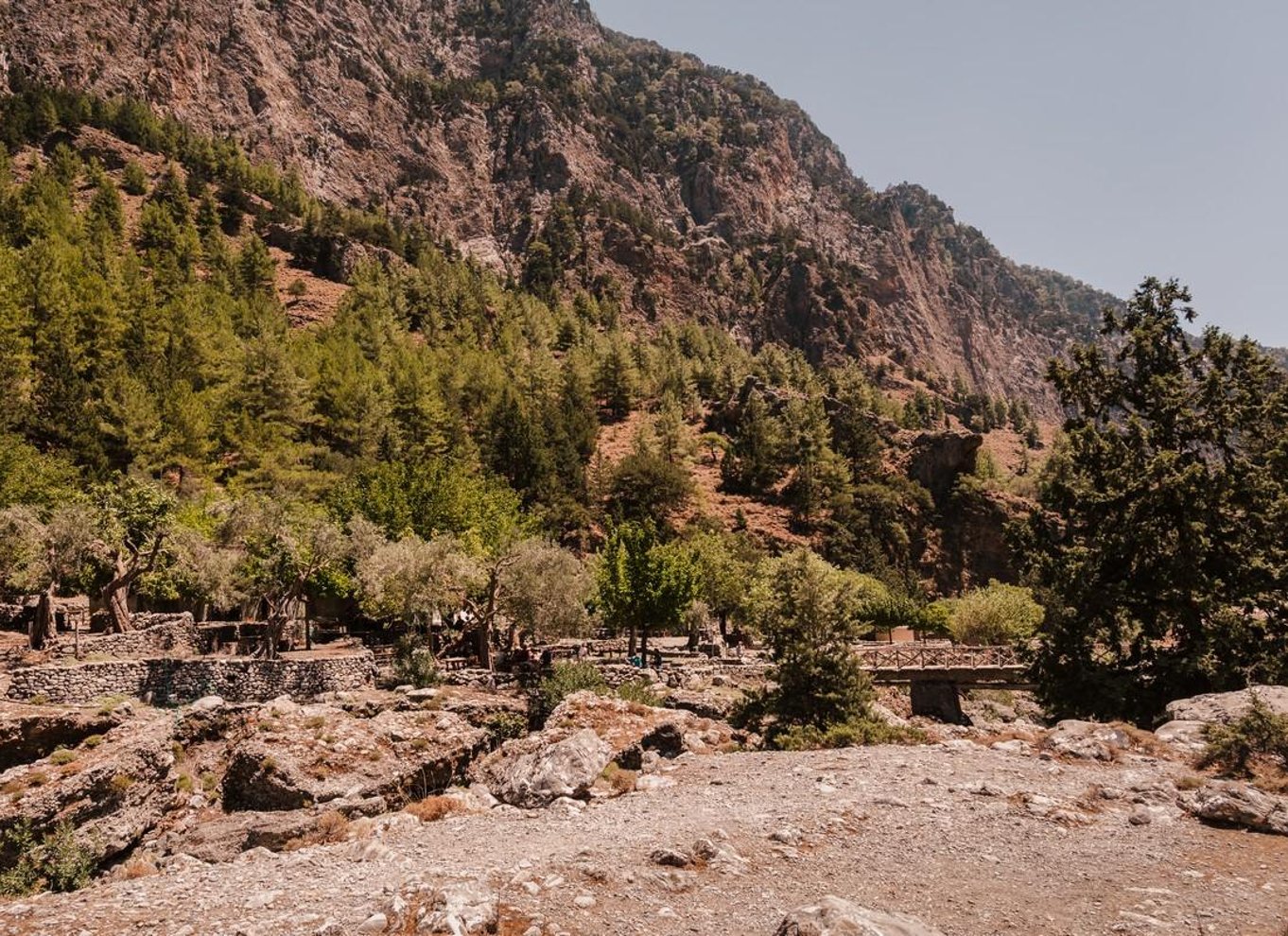 Fra Chania: Heldagsudflugt i Samaria-kløften med guide