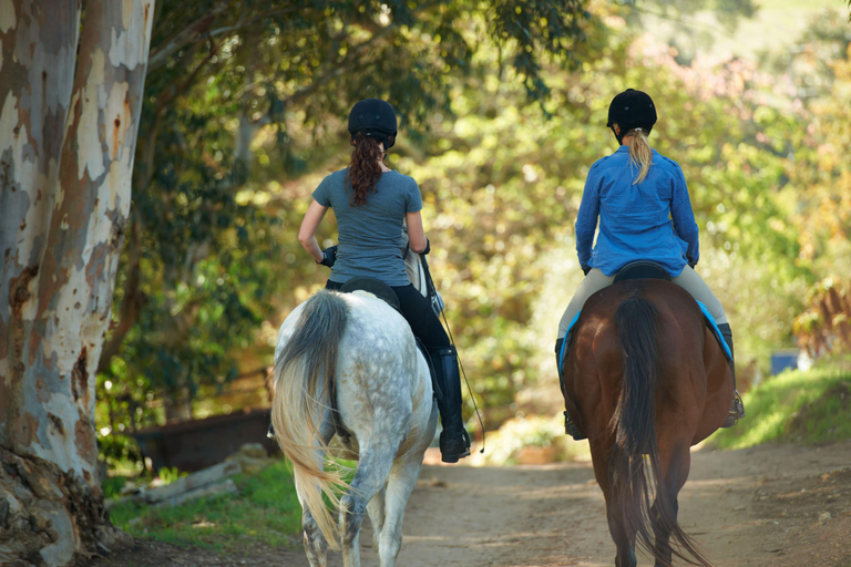Martinique: Horseback Ride to Grand Macabou, Chapel, & Beach