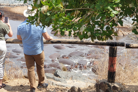 Arusha: 2-Day Ngorongoro Crater and Tarangire Safari