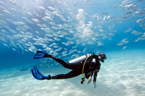 Mellieha: Sessione introduttiva di immersione in mare apertoCome preferisci (ci vediamo alla nostra base alle 14:00)
