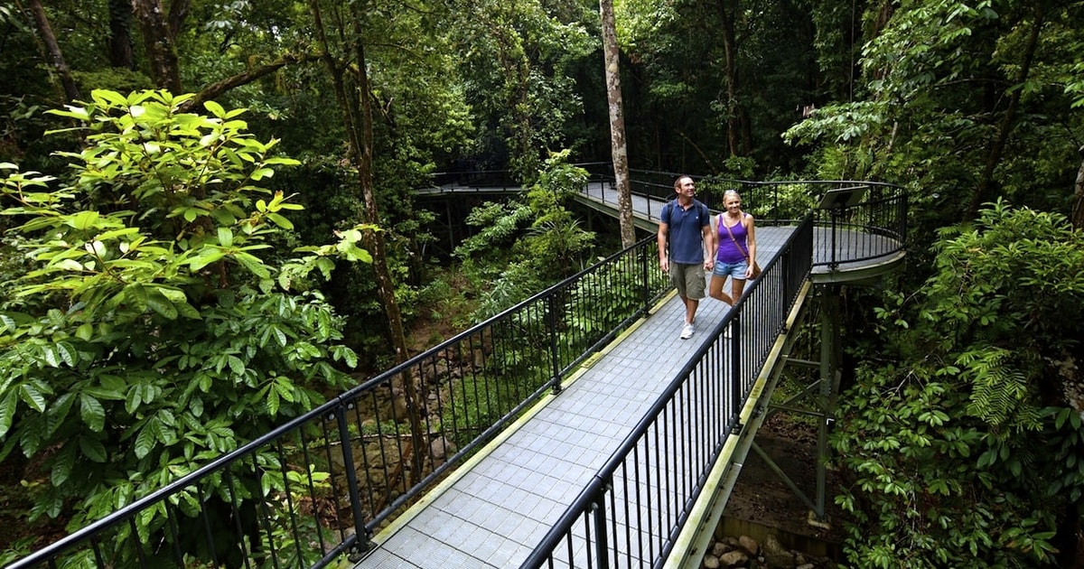 cape tribulation day trip