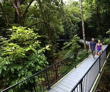 Cairns: Daintree, Mossman Gorge, & Cape Tribulation Day Trip