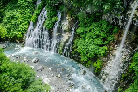 One-Day Tour to Asahiyama Zoo and Biei Blue Pond in Hokkaido