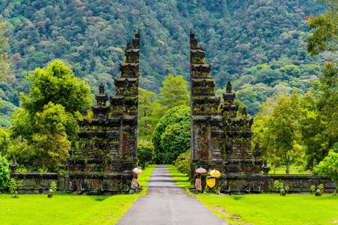 Bali: Noord-Bali Tour met Jatiluwih, Ulun Danu, waterval.