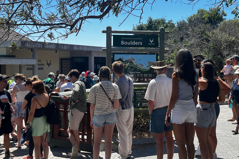 Robben Island, Penguins & Cape of Good Hope Adventure