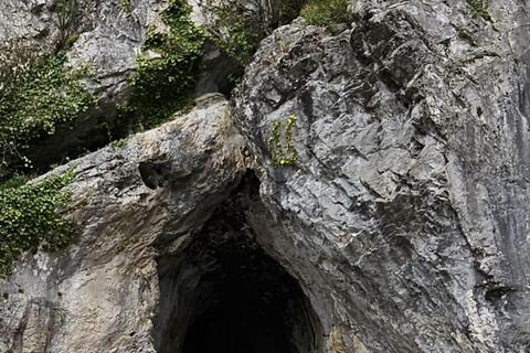 Ljubljana à la grotte de Postojna, au château de Predjama et au parc de Postojna