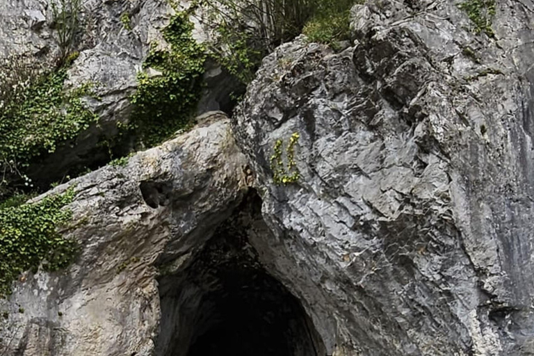 Ljubljana à la grotte de Postojna, au château de Predjama et au parc de Postojna