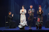 Malaga, Teatro Club Malaga Live Flamenco Show Entrada de entrada - Housity
