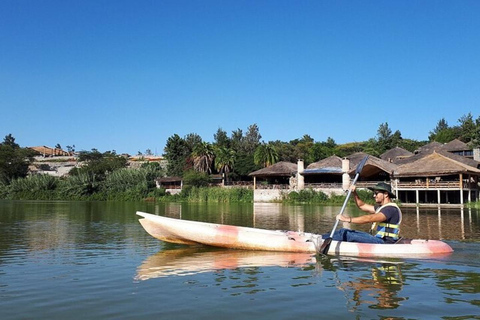 Bishoftu: Rift Valley Lakes Birdwatching Tour