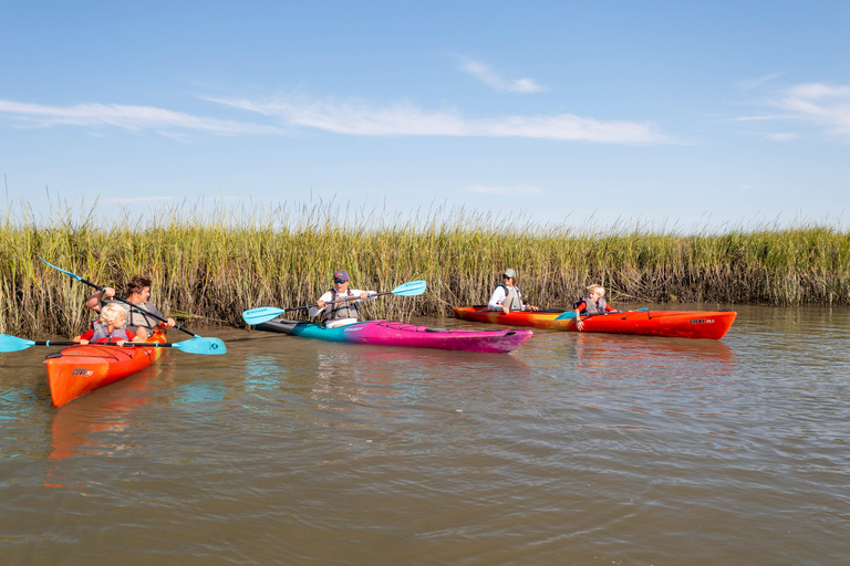 Charleston Excursión en kayak por el río FollyKayak individual sentado