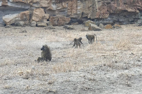 Nairobi: Hell's Gate & Lake Naivasha Day Trip with Boat Ride