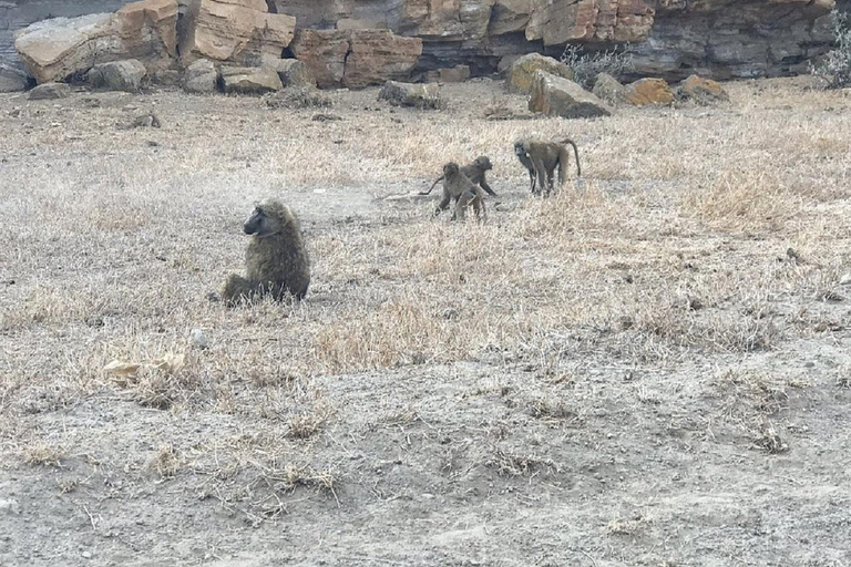 Nairobi: Hell's Gate & Lake Naivasha Day Trip with Boat Ride