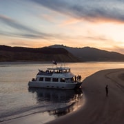 Raglan: Scenic Harbour Sunset Cruise