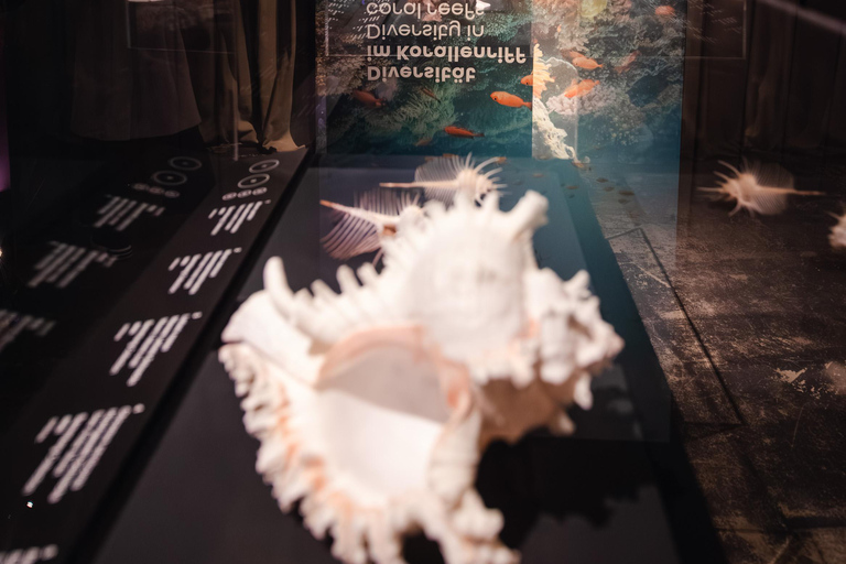 Dresden: Entry fee - 360° panorama "Great Barrier Reef" at Panometer Dresden Dresden: Entrance fee - 360° panorama "Great Barrier Reef" in the Panometer Dresden