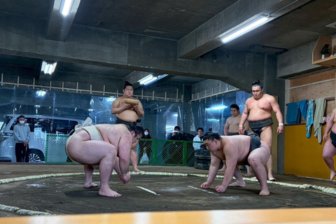 Osaka: Authentic Sumo Morning Practice & Chanko Lunch Authentic Sumo Morning Practice Viewing 【Only viewing】