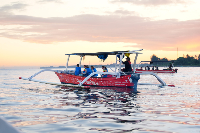 North Bali: Dolphin Swim, Snorkeling, & Waterfall Cliff Jump Small Group With Hotel Transfer Central Bali