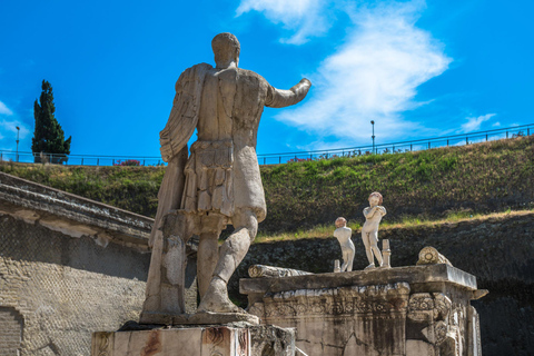 Herculanum : Visite privée avec chauffeur depuis NaplesOption avec chauffeur et billets - pas de visite guidée incluse