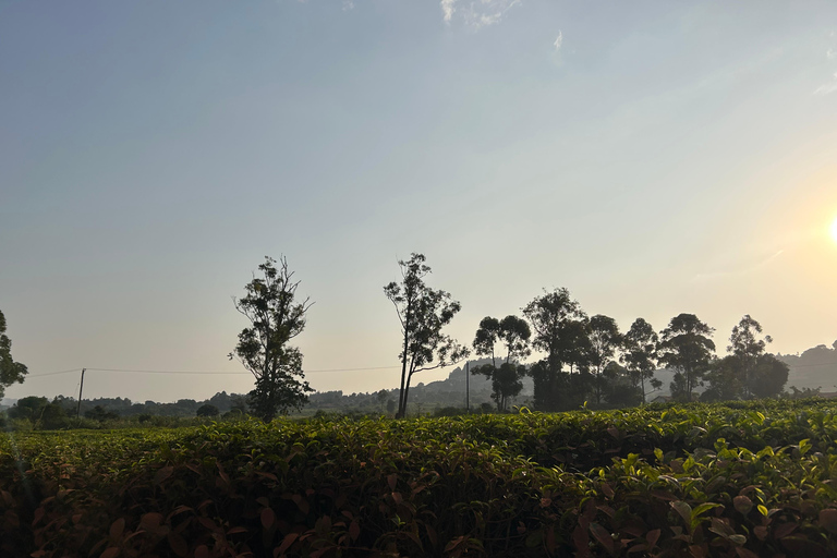 Kajansi: Hike Kiwamirembe Hill and Pilgrimage Tour