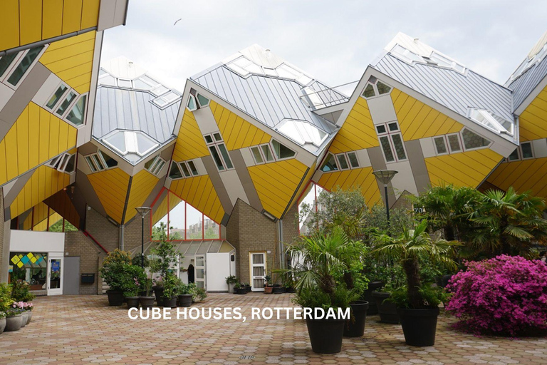 Rotterdam en Kinderdijk Dagelijkse Wandeltour en Rondvaart