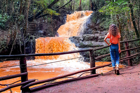 Karura forest A walking tour from Nairobi