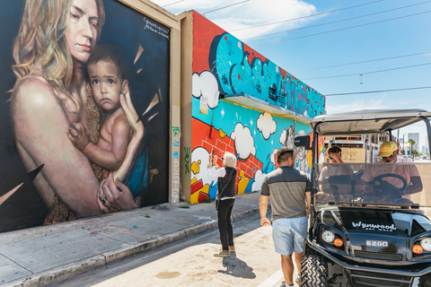 Wynwood Art District 1-Hour Street Art Tour by Golf Cart