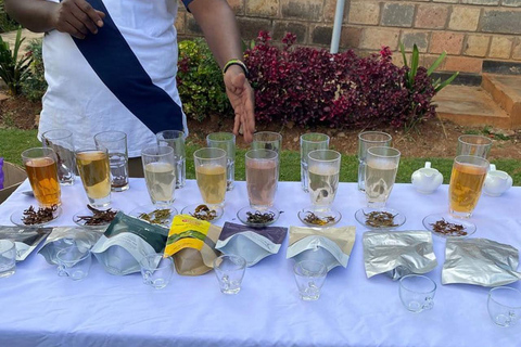 Nairobi: Purple Tea Farm Tour & Tasting Daytrip